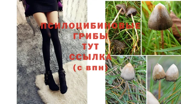 дурь Алексин