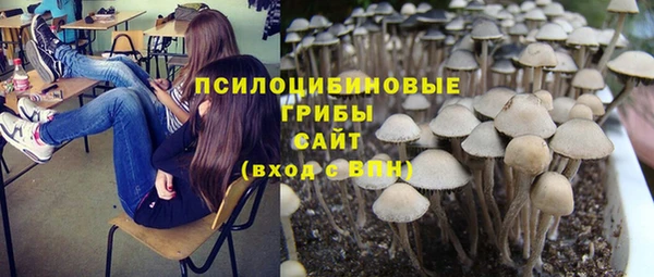 дурь Алексин