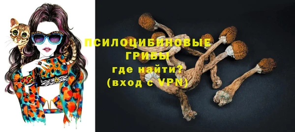 дурь Алексин