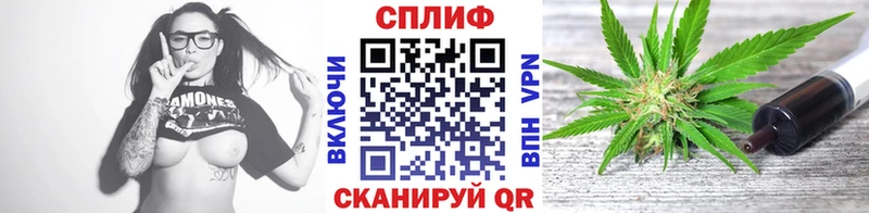 OMG вход  Чебоксары  Бошки марихуана планчик 